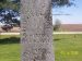 Hezekiah McKune Headstone